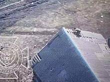 Момент водружения флага России в Николаевке попал на видео