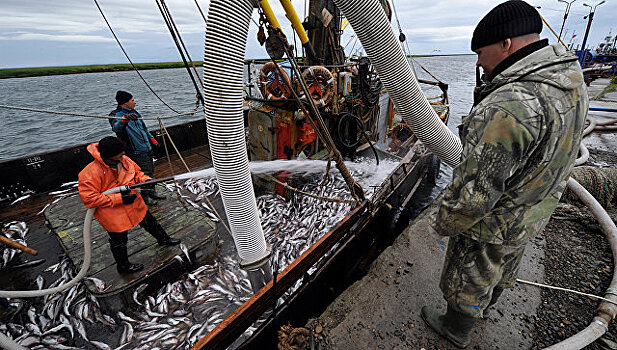 СМИ: в России рыбу покупать опасно и дорого