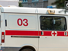 В Рязанской области 5 детей погибли в ДТП