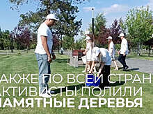 Участники акции "Сад памяти" провели флешмоб ко Дню России