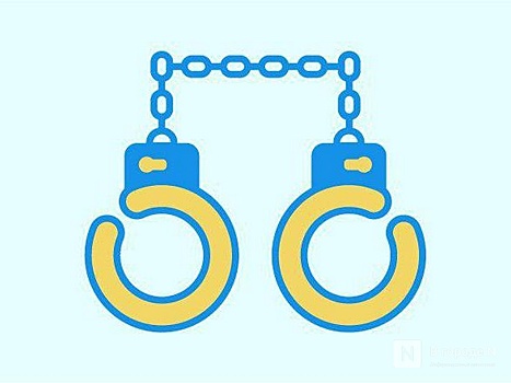 Нижегородца, ударившего полицейского, избили при задержании