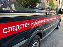 СК России начал проверку по факту похищения и продажи в рабство жительницы Читы