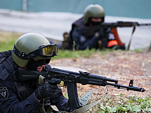 В Крыму разгромили сеть агентов украинских спецслужб