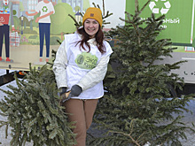 Гирлянды на стене и пряники-игрушки: как подготовиться к встрече экологичного Нового года