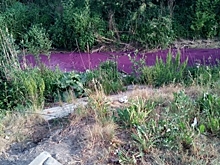 Река Мурзинка в Петербурге второй раз за неделю окрасилась в фиолетовый цвет из-за стоков