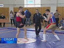 В Уфе прошли чемпионат и первенство по ушу-таолу и ушу-саньда среди школ республики