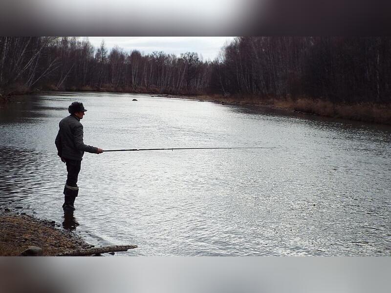 Браконьеры незаконно выловили рыбу более чем на 300 тысяч рублей