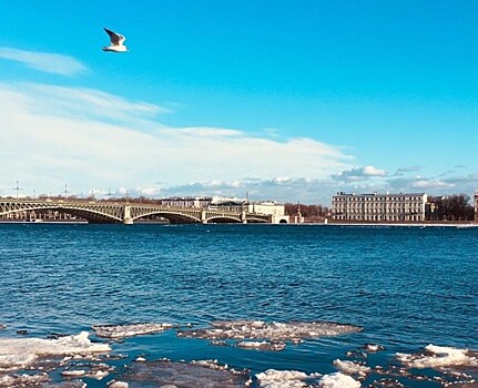 Фоторепортаж: в Петербурге Нева вскрылась ото льда