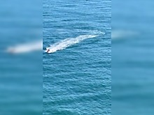 Видео: действия туристов в Сочи вызвали споры в соцсетях