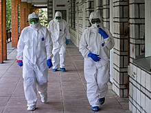 Светила вирусологии расскажут как побороть ковид на форуме OpenBio-2020 в Новосибирске