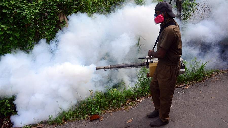 Роспотребнадзор прокомментировал сообщения о вспышке лихорадки чикунгунья в Китае