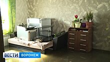 «Уровень воды в домах доходил до 1,5 метров». В Калаче начинают оценивать ущерб от паводка