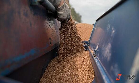 МИД РФ заявил, что Запад упорно саботирует и хоронит “зерновую сделку”