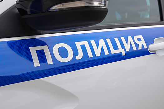 Московские оперативники задержали подозреваемого в мошенничестве с товарами, приобретаемыми через маркетплейс
