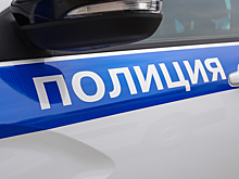 Московские оперативники задержали подозреваемого в мошенничестве с товарами, приобретаемыми через маркетплейс