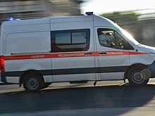 В Ростовской области Skoda столкнулась с МАЗом, двое погибли