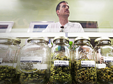 «Как в России в 1990-х»: Йордан и Сачер вложились в производство марихуаны в США