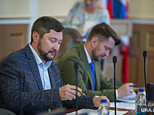 Депутат пермского ЗС назвал парламентариев Чебурашками