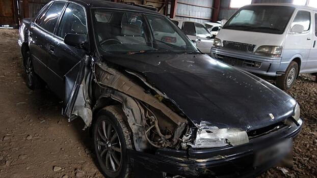 В Хабаровском крае полицией установлен водитель иномарки, въехавший в ворота городского парка