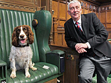 The Times: в туалетах британского парламента нашли следы кокаина