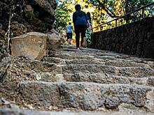 Врач рассказал о влиянии ходьбы по лестнице на организм