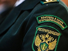 СМИ: Агентство «Абирег» может быть причастно к «черному пиару» против Росприроднадзора