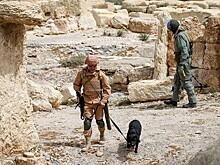 Минобороны рассказало об освобождении Сирии от террористов