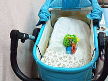 РИА: органы опеки забрали двух дочерей у матери, оставившей младенца на улице