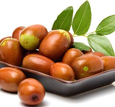 Зизифус крымский: польза и вред