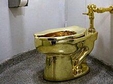Из Бленхеймского дворца исчез унитаз из золота