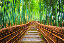 В Китае пройдет фестиваль бамбуковой культуры