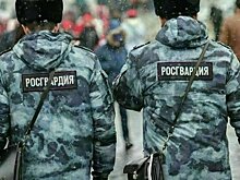 Имеет ли право сотрудник «Росгвардии» проверять документы у водителя в 2022 году