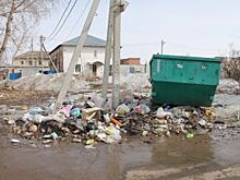 Псков вошёл в топ-8 рейтинга городов ОНФ по эффективности ликвидации городских свалок