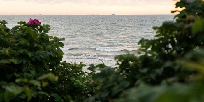 В Европе придумали десятидневный круиз с неизвестными остановками