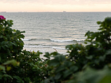 В Европе придумали десятидневный круиз с неизвестными остановками