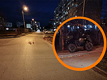 Новосибирец на квадроцикле сбил ребенка — у мужчины не было прав