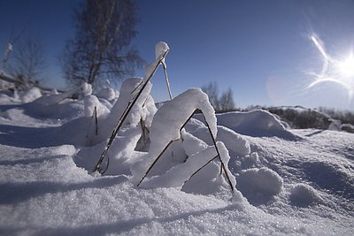 Жителей трех российских регионов предупредили об аномальных морозах