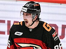 Буше подрался с Семеновым в первом периоде матча «Ак Барс» – «Авангард», Маклауд – с Дыняком