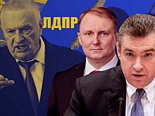 Ждет ли ЛДПР ребрендинг?