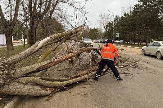 Кубань во власти стихии: деревья на дорогах, дома без света