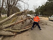 Кубань во власти стихии: деревья на дорогах, дома без света
