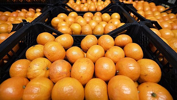 РФ запретила ввоз 23 тонн зараженных мандаринов из Турции