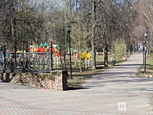 Никитин поручил проработать вопрос благоустройства парка Кулибина