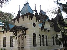 Шаляпинская ель из Кисловодска стала Деревом России в 2022 году: Новости ➕1, 01.08.2022