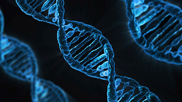 В США намерены расшифровать ДНК миллиона человек