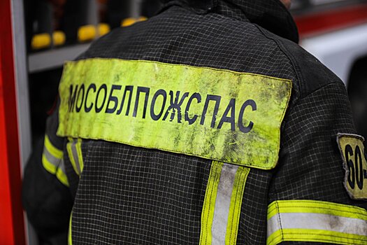 В Раменском округе ликвидировали пал сухой травы