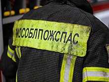 В Раменском округе ликвидировали пал сухой травы