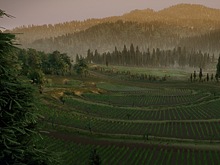 Создание открытых пространств и растительности в Unreal Engine 4