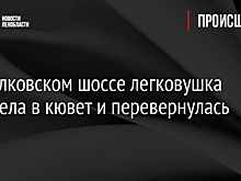 На Пулковском шоссе легковушка вылетела в кювет и перевернулась