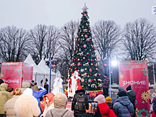 Игрушки победителей из ПФО разместили на ёлке общества «Знание»